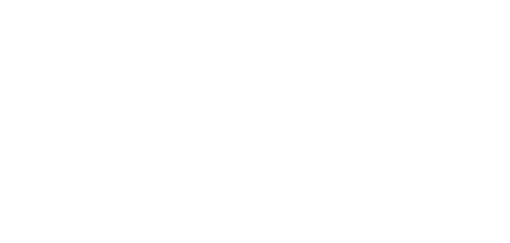 logo_nimo